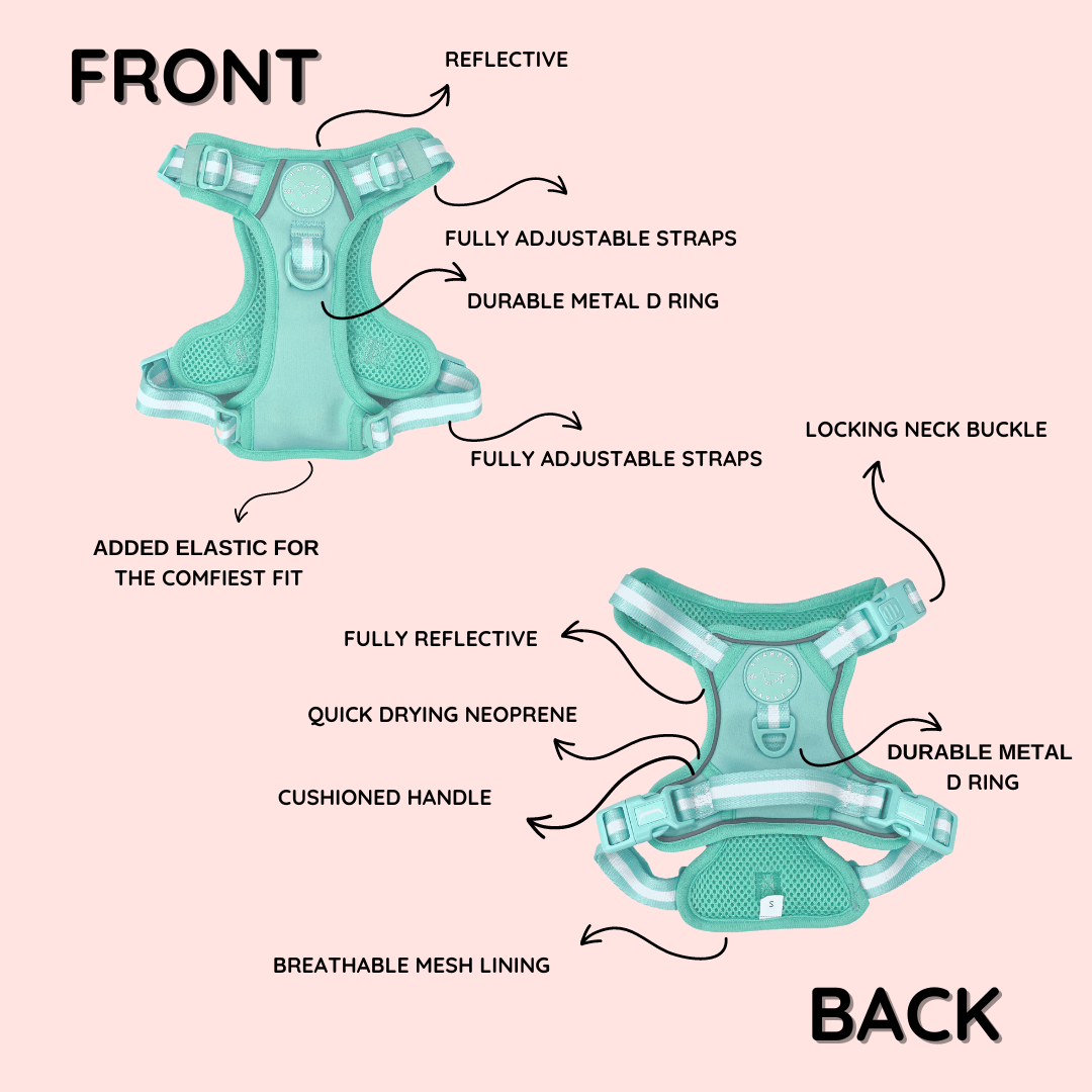 Comfort Harness - Black - Sharper Barker