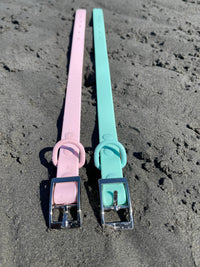 Waterproof Dog Collar - Turquoise - Sharper Barker