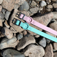 Waterproof Dog Collar - Turquoise - Sharper Barker