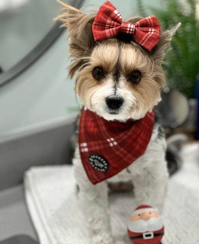 Bandana - Farmhouse Plaid - Sharper Barker