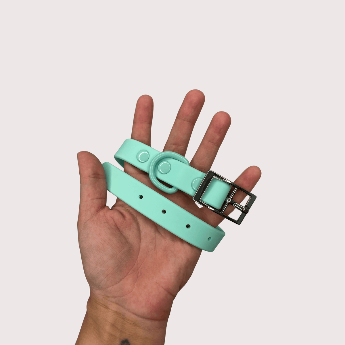 Waterproof Dog Collar - Turquoise - Sharper Barker
