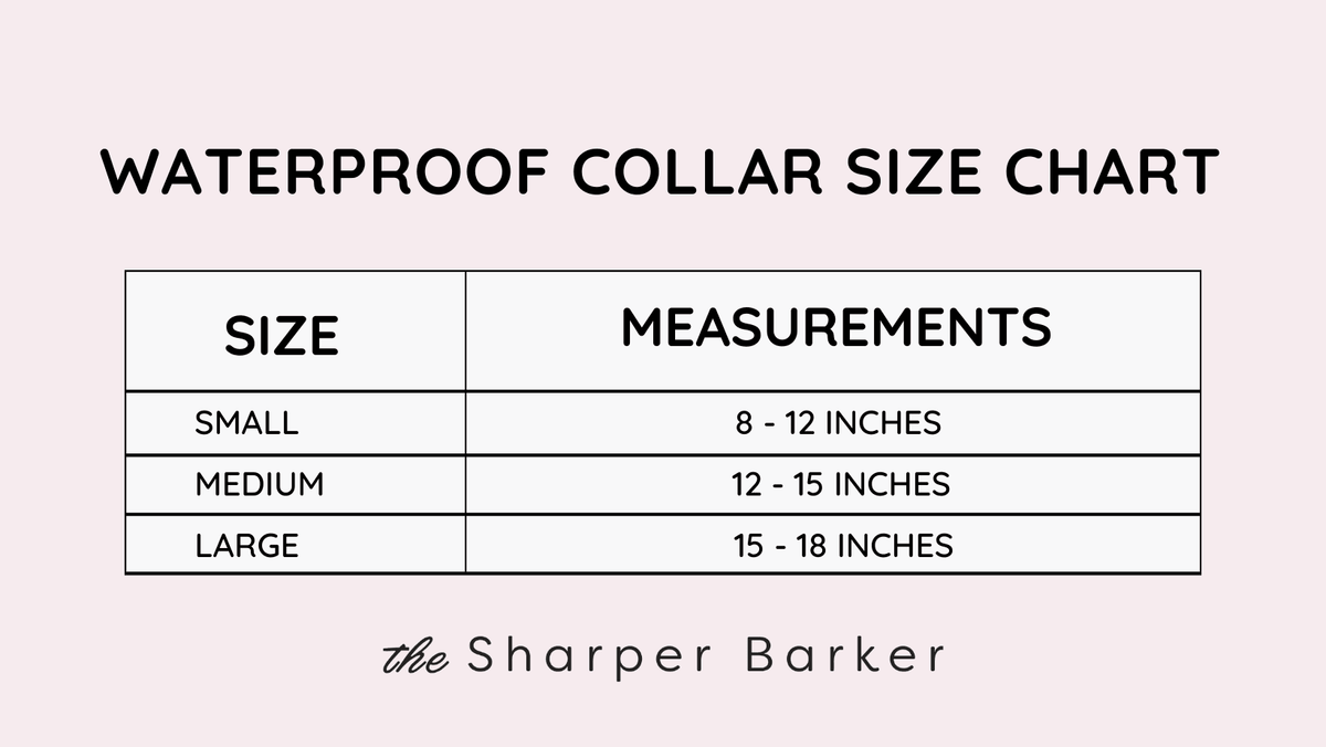 Waterproof Dog Collar - Turquoise - Sharper Barker