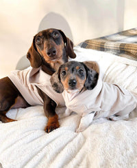 Biscuit Hoodie - Sharper Barker