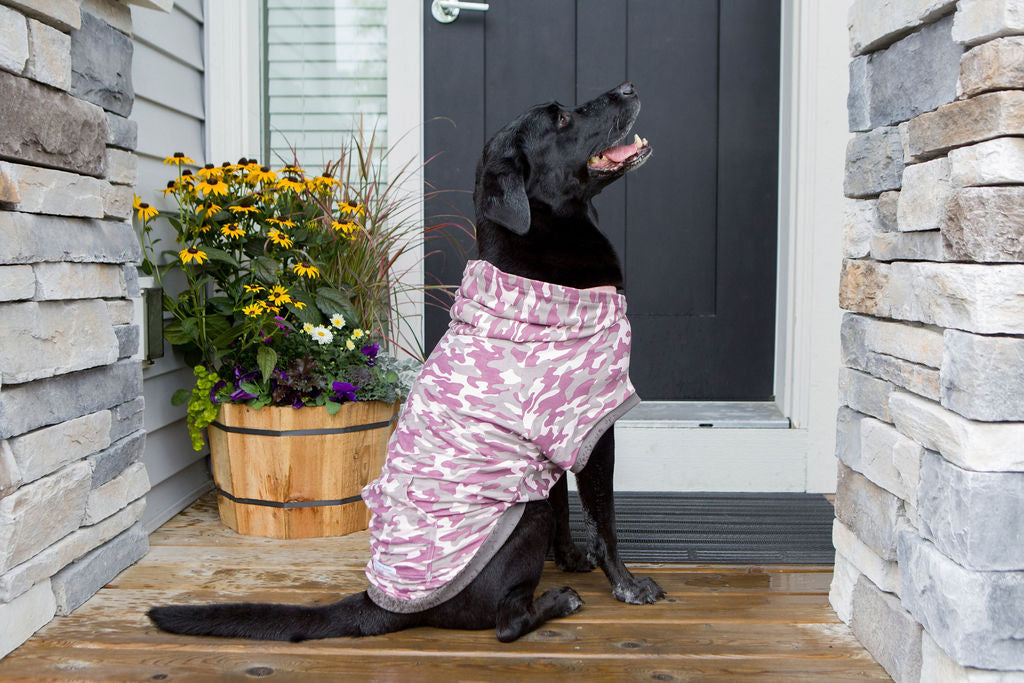 Dog drying on sale coat with legs