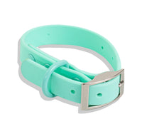 Waterproof Dog Collar - Turquoise  (end of line)