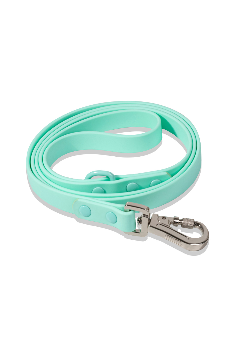Sharper Barker Waterproof Dog Leash