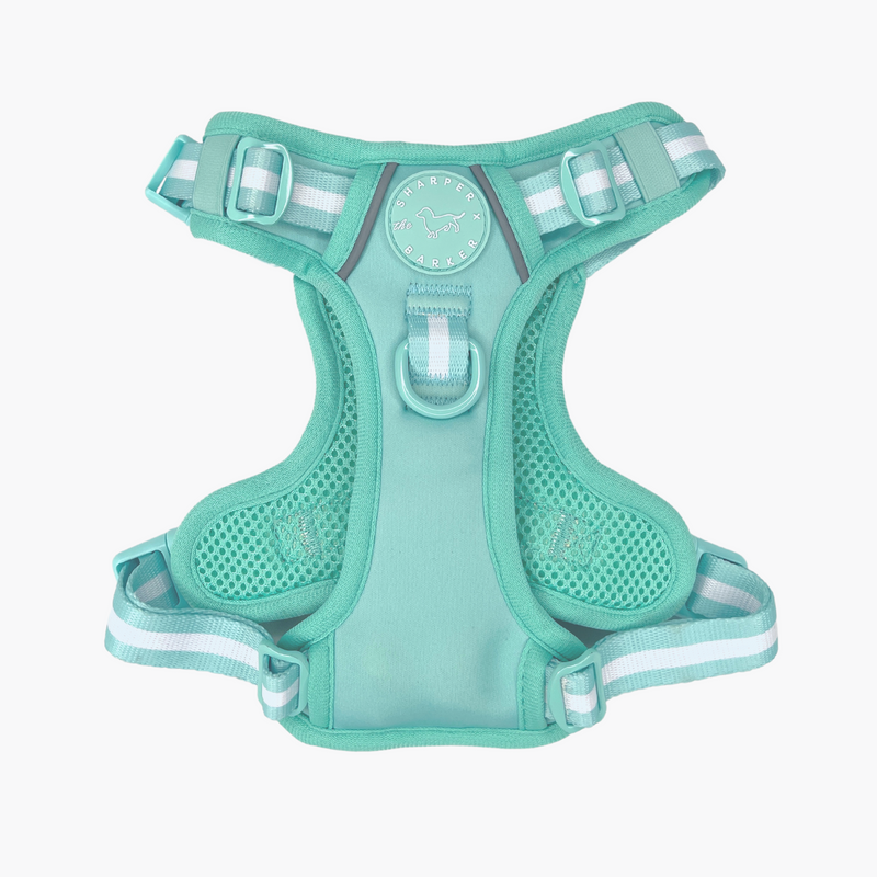 Comfort Harness - Turquoise