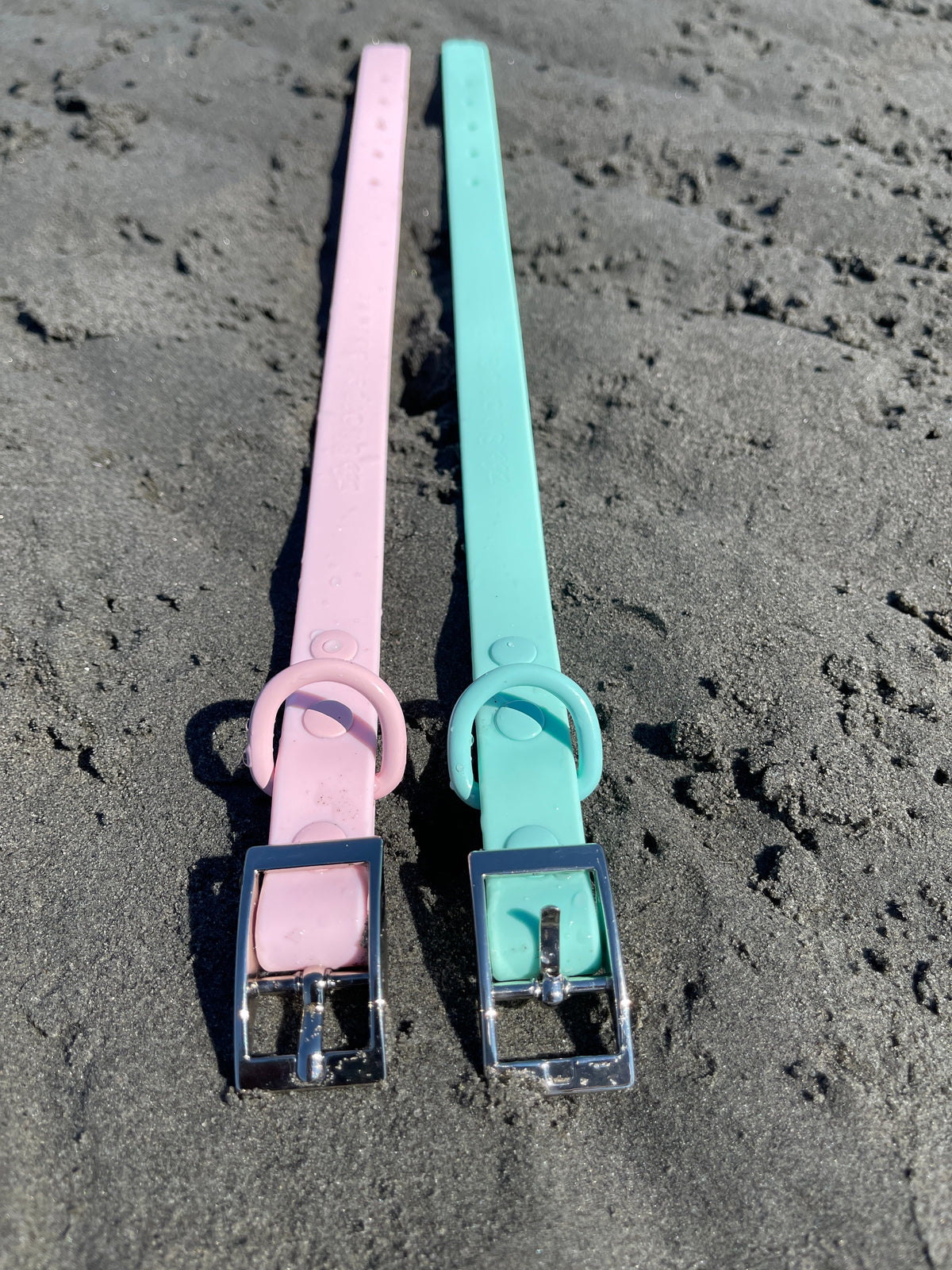 Waterproof Dog Collar - Turquoise  (end of line)