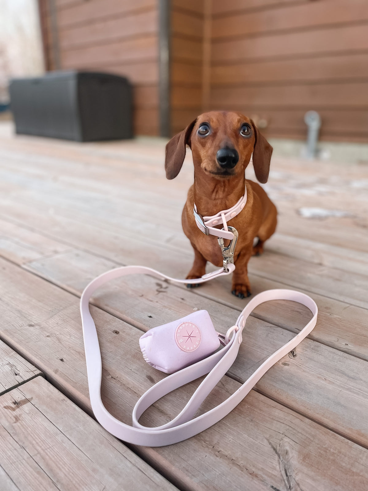 Waterproof Dog Collar - Baby Lilac (end of line)