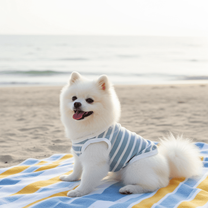 Seaside Stripes Sage Blue & White Striped Dog Shirt – Lightweight Summer Dog Tee for Small to Large Breeds - Sharper Barker