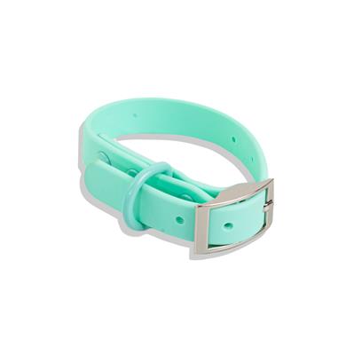 Waterproof Dog Collar - Turquoise  (end of line)