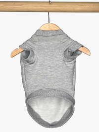 dog sweater in light grey