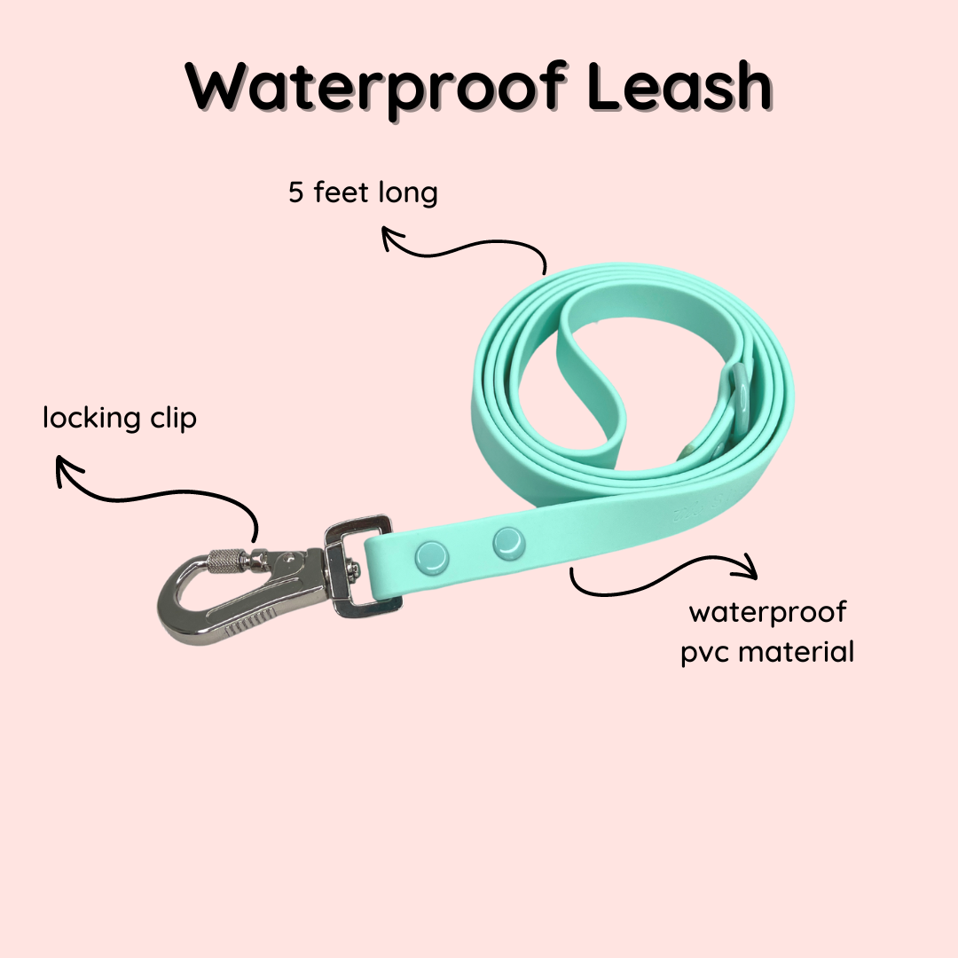 waterproof dog leash, dog leash features, pvc dog leash, 5 foot dog leash, turquoise dog leash