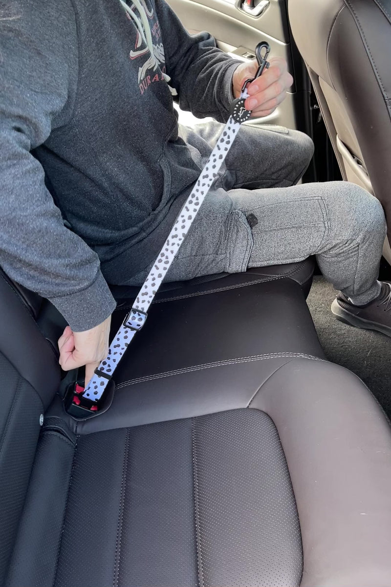 dog car seatbelt in car