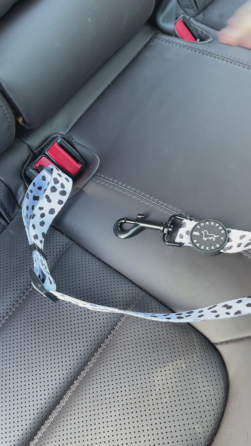 dog car seatbelt, car restraint
