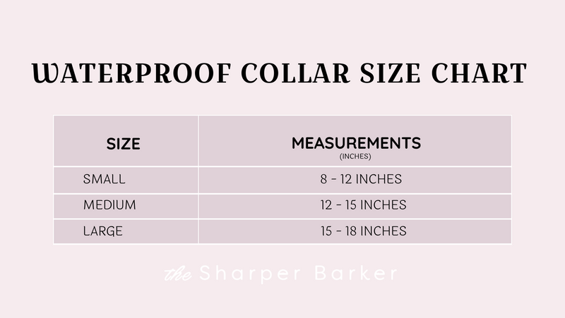 Sharper Barker Dog Collar Bundle - Pink