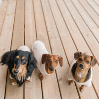 Biscuit Fleece Dog Crew