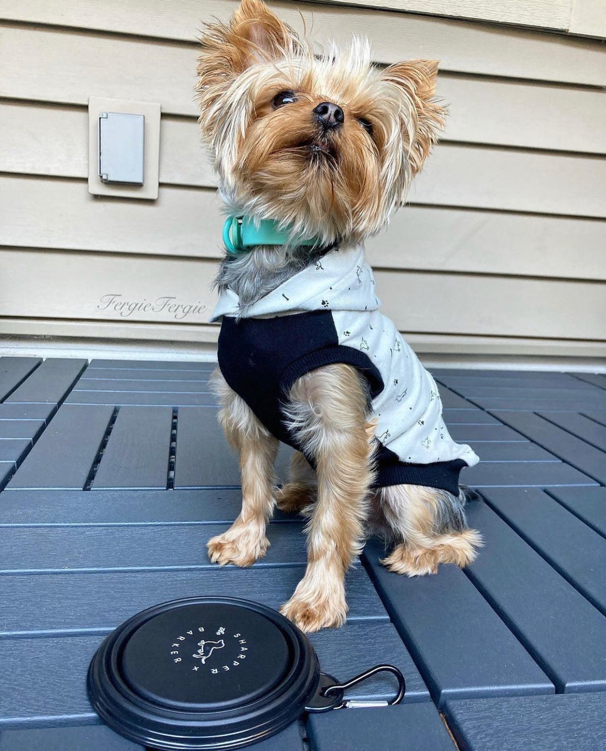 Sharper Barker Waterproof Dog Collar