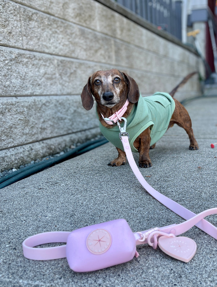 dachshund accessories, long dog hoodies, long dog clothing, waterproof dog leash, pink dog leash and collar, olive green dog hoodie