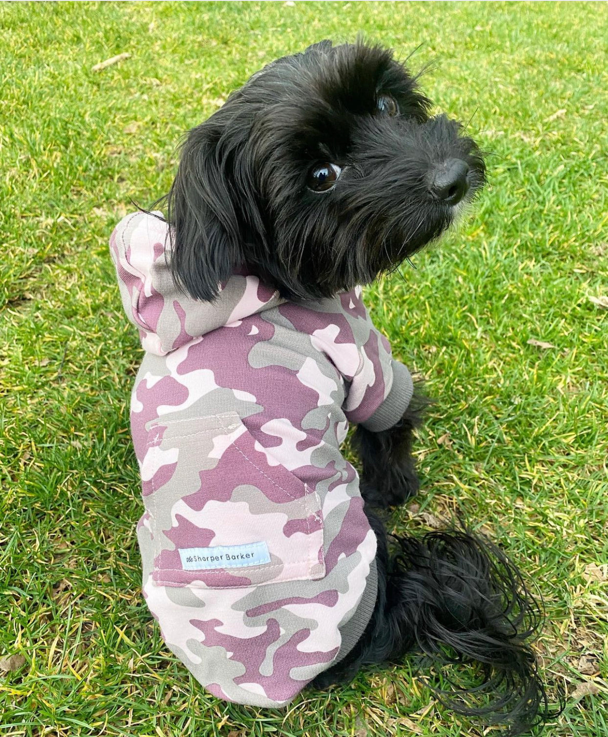 yorkiepoo clothes, girl dog clothes, pink dog hoodie
