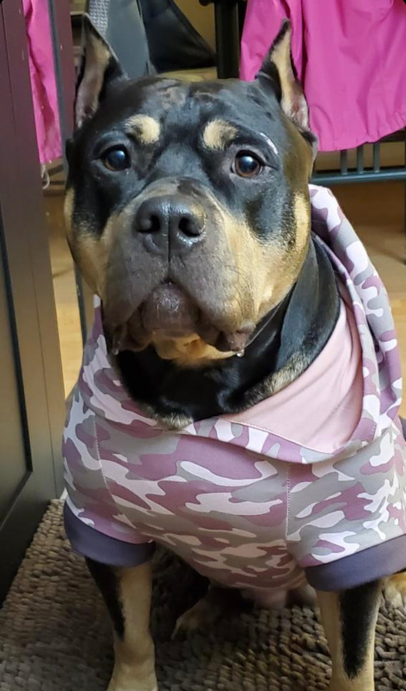 bully clothes, staffy clothes, american bully, pitbull clothes, pink dog sweater, clothing for large dogs