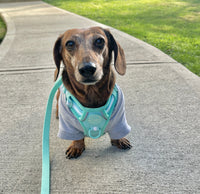 light grey dog crew sweatshirt