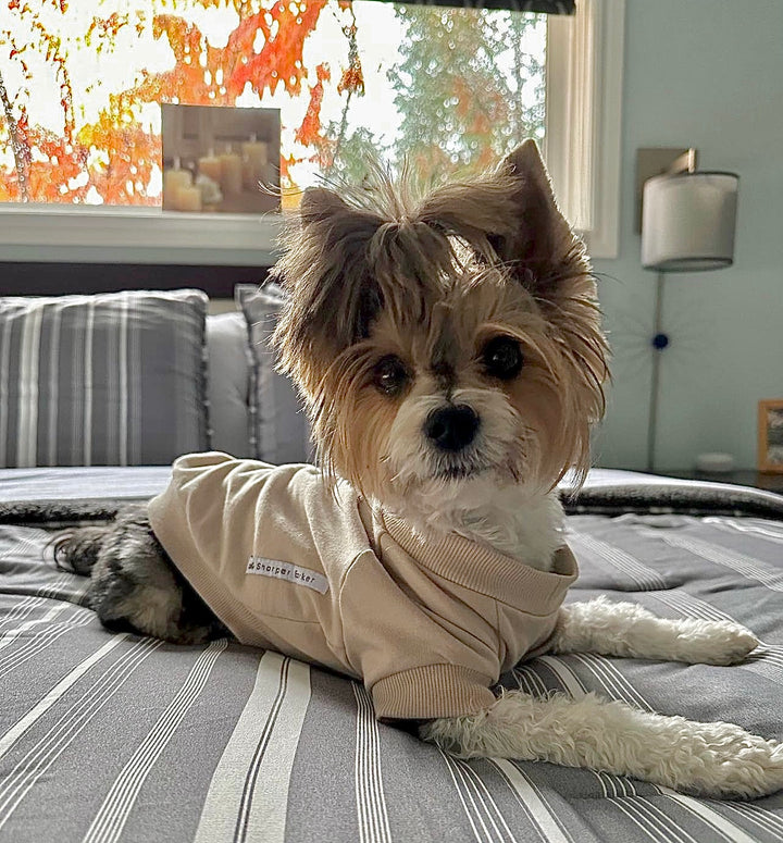 Fleece Dog Crew Sweatshirt
