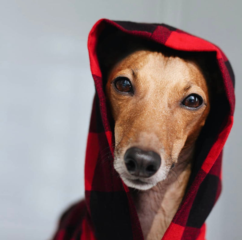 italian greyhound clothes, small dog clothes, plaid dog hoodie, stretchy dog clothes