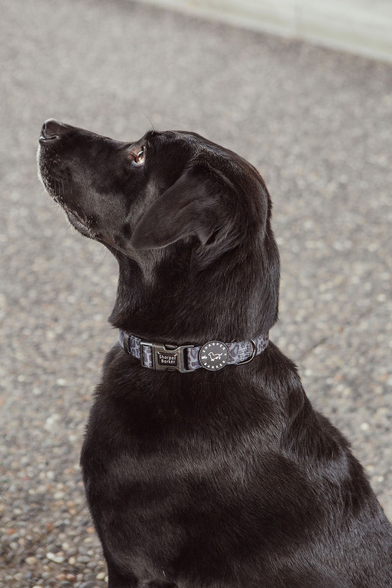 Sharper Barker Quick Release Comfort Dog Collar - Black Leopard