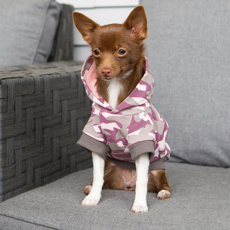 chihuahua dog hoodie, teacup dog clothes, pink dog sweater