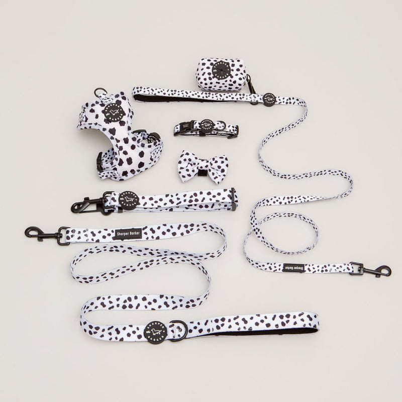 Dalmatian print dog collar and matching accessories.