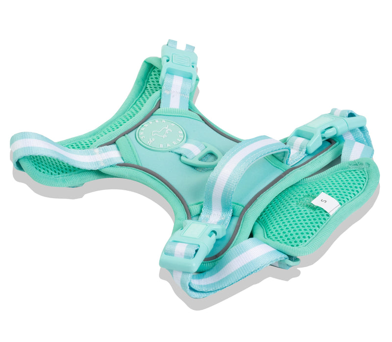 No Pull Active Comfort Dog Harness