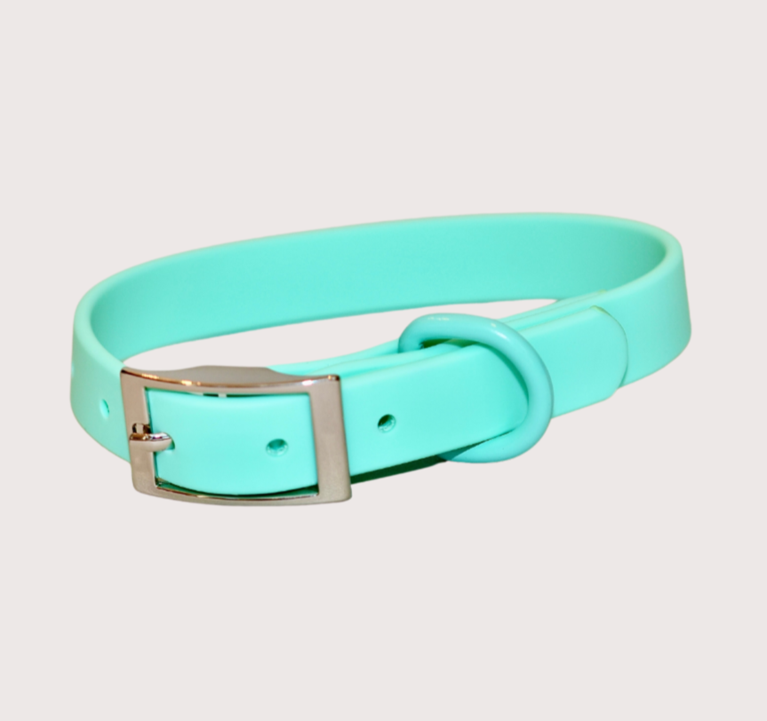 turquoise waterproof dog collar