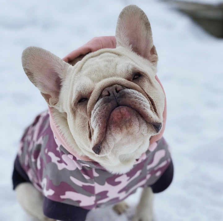pink dog hoodie, frenchie clothes, french bulldog clothes, pink camouflage dog clothes