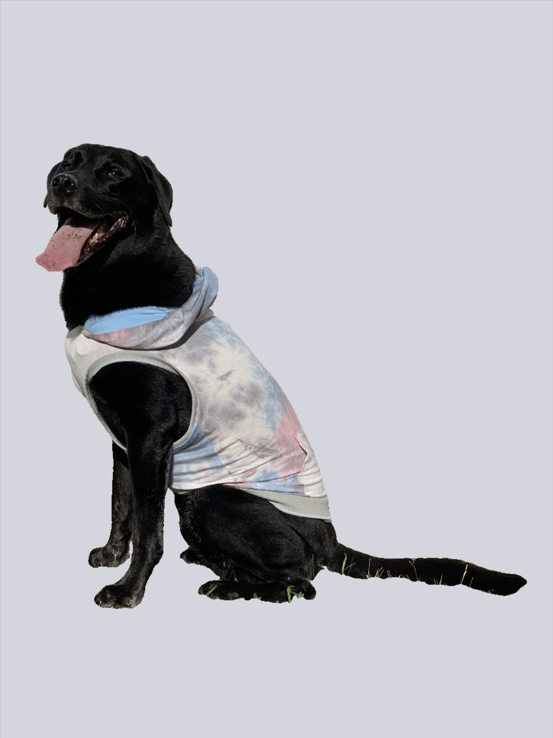 Large dog clothes. Clothing for labs. Tie dye dog clothes.