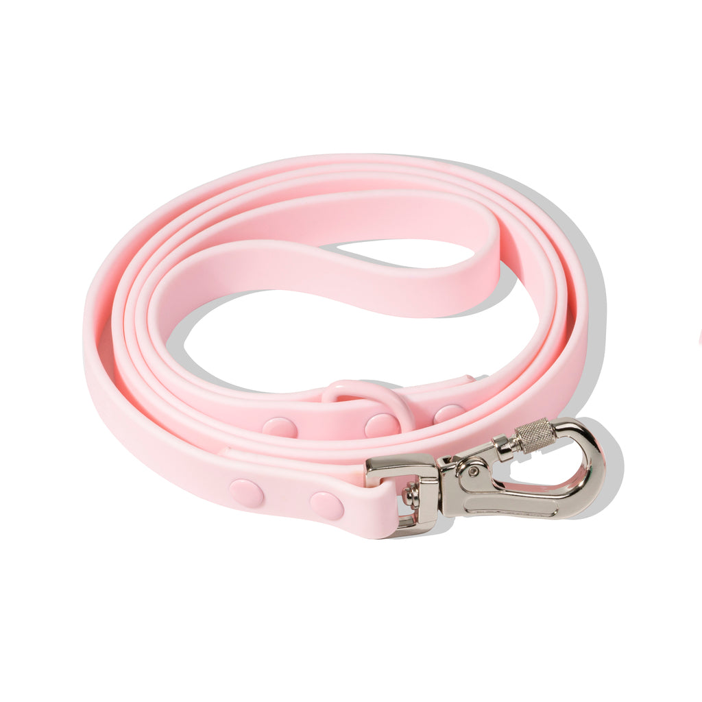 Sharper Barker Dog Collar Bundle - Pink